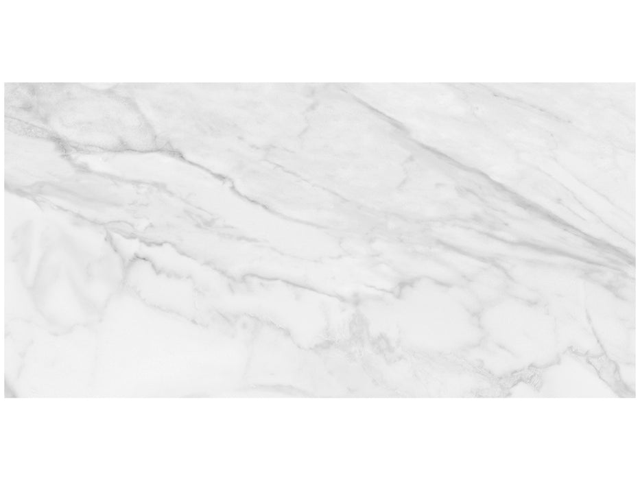 Nexus Statuario B 24"x48" Matte