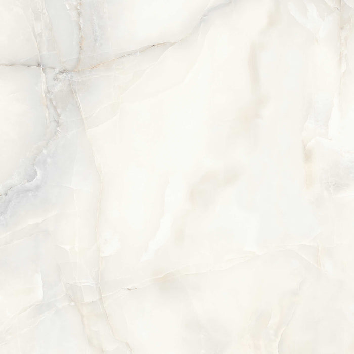 Aquarius Onyx Grey 48x48 Porcelain Tile