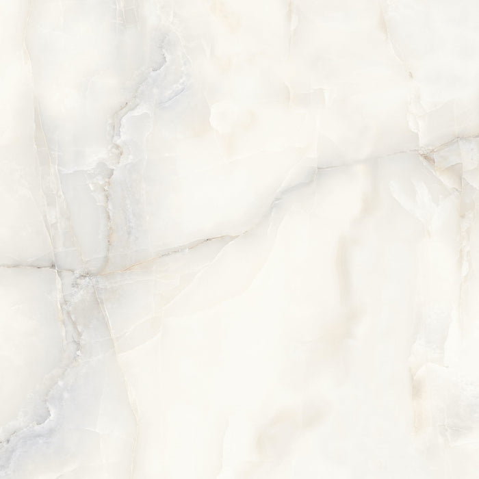 Aquarius Onyx Grey 48x48 Porcelain Tile