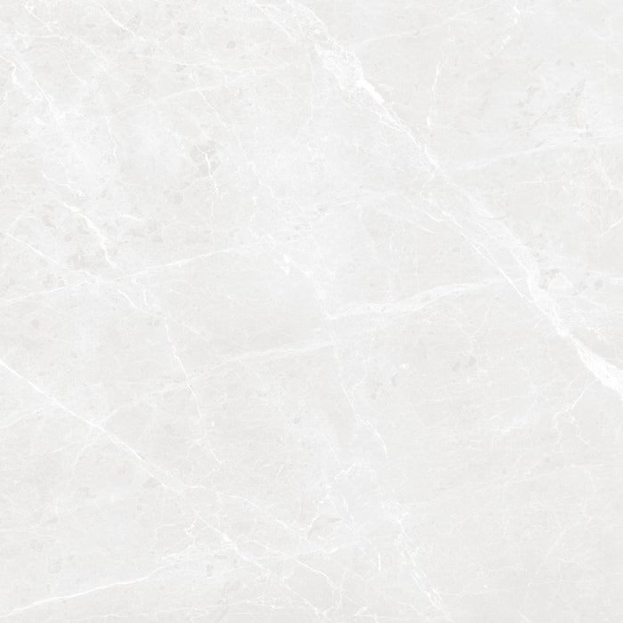 Bullberry Grey 48x48 Porcelain Tile