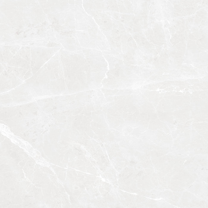 Bullberry Grey 48x48 Porcelain Tile