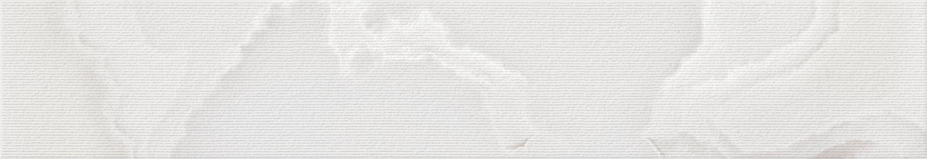 Onyx White Plank 4"x24"