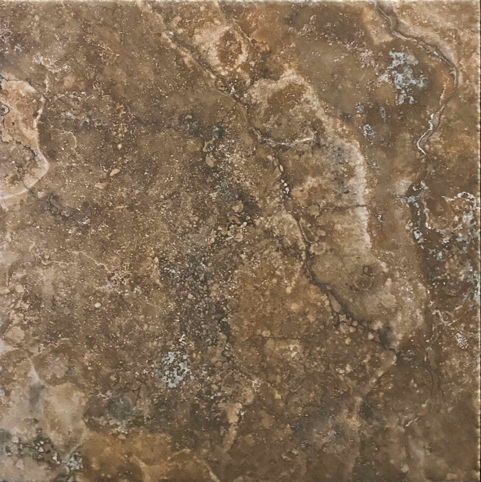 Saturnia Noce 18"x18"