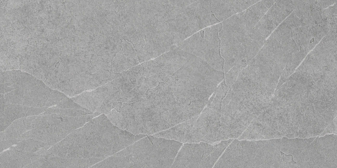 Pietra Lavagna Argento 24"x48" Porcelain Tile