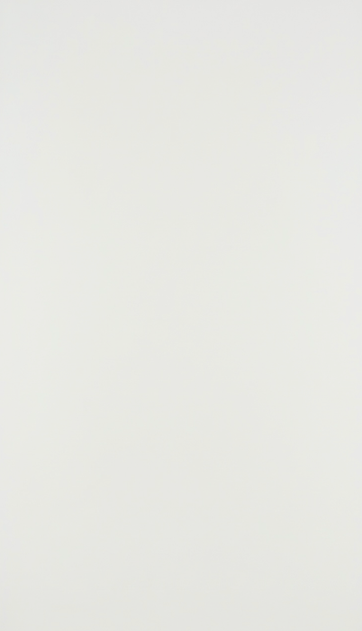 Warm White 12x24 Porcelain Tile