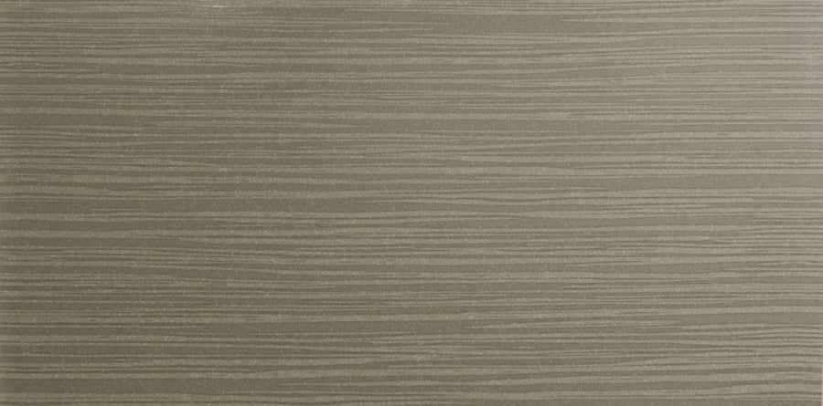 Alga Grey 12"x24"